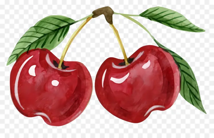 Вишенки，красный фрукт PNG