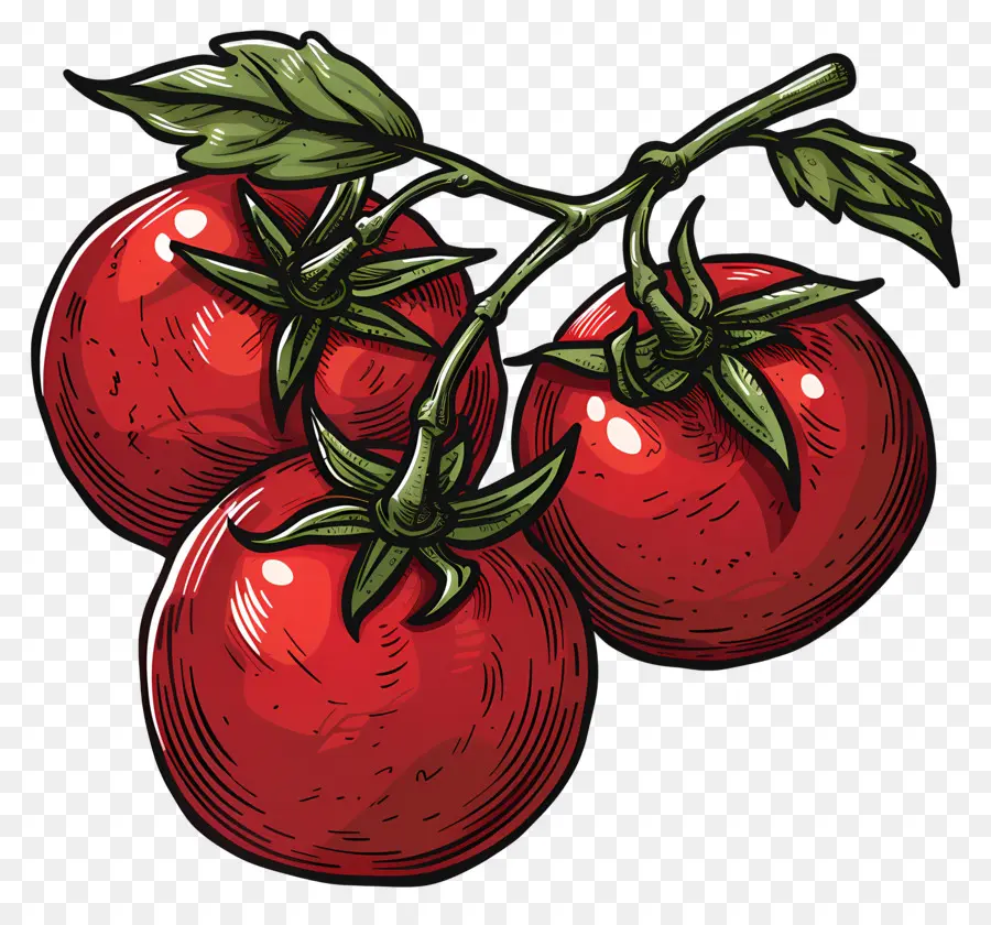 Виноградные помидоры，красные помидоры PNG