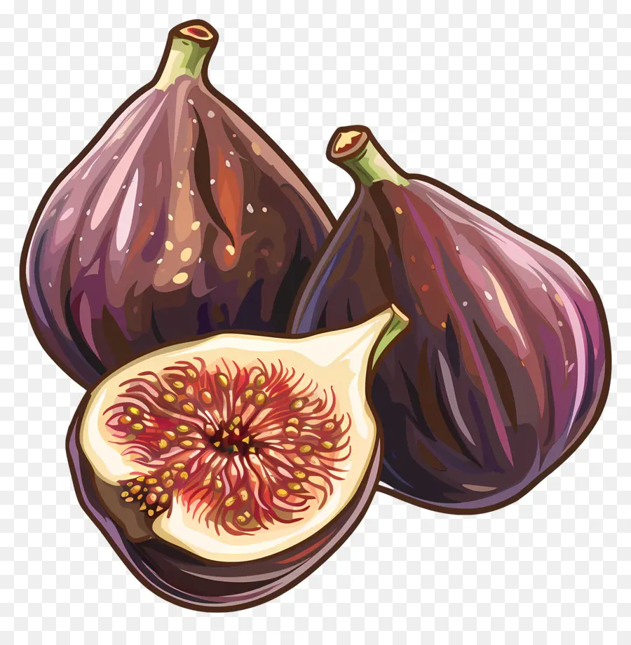 Фиг，Fig PNG