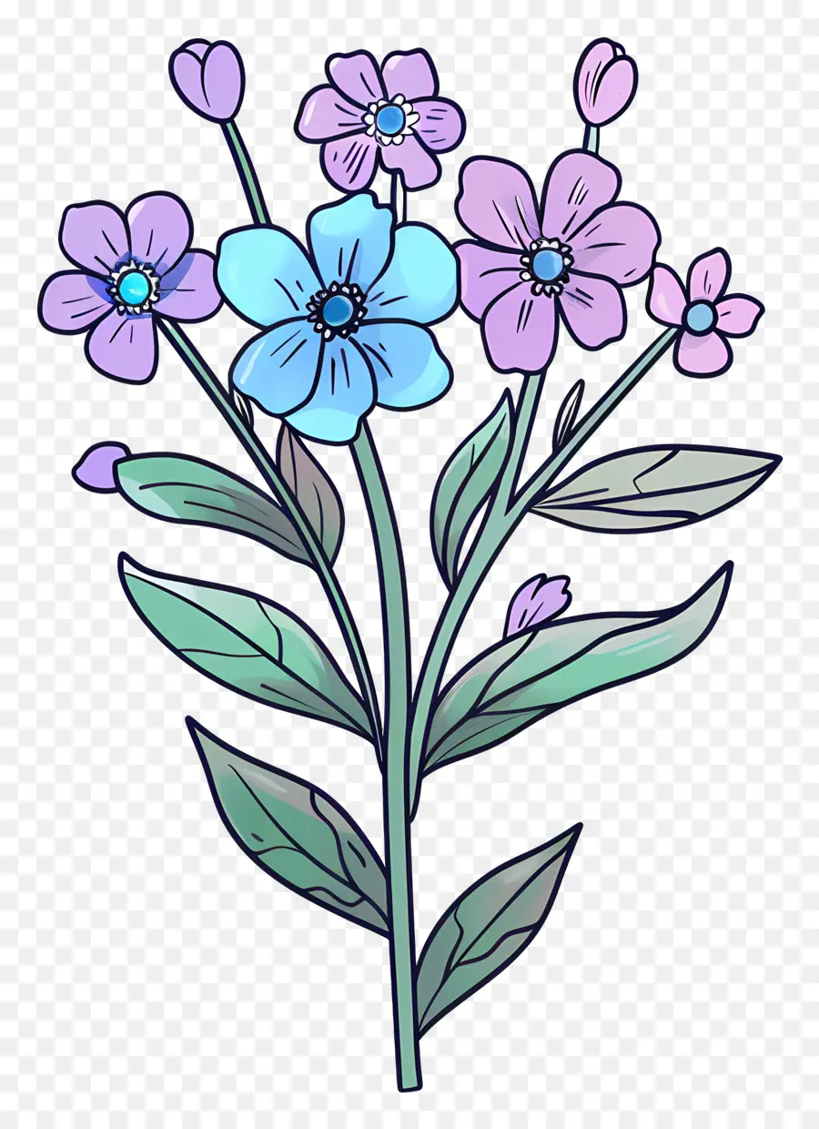 не забудь меня，синие цветы PNG
