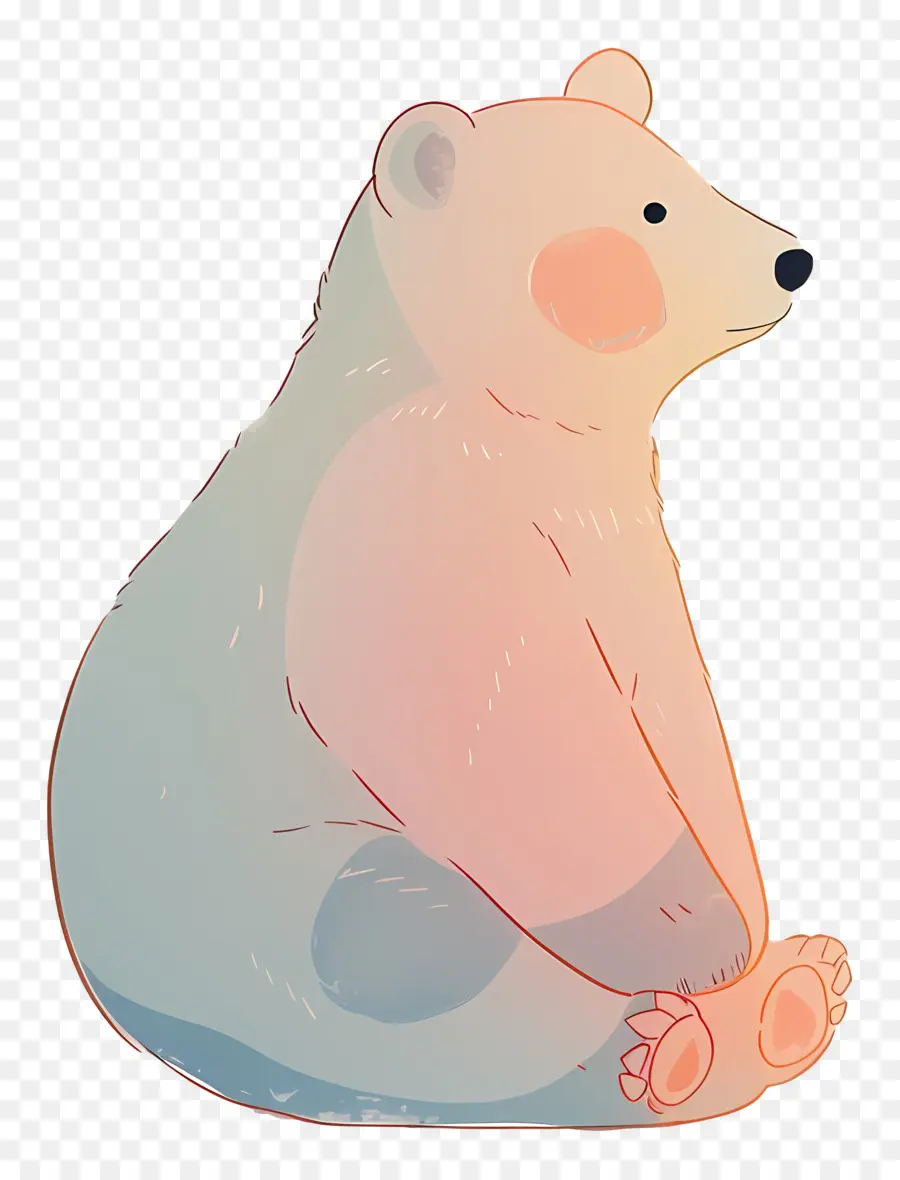 медведь，Рисунок PNG