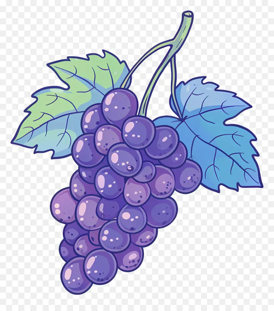 виноград клипарт，виноград PNG