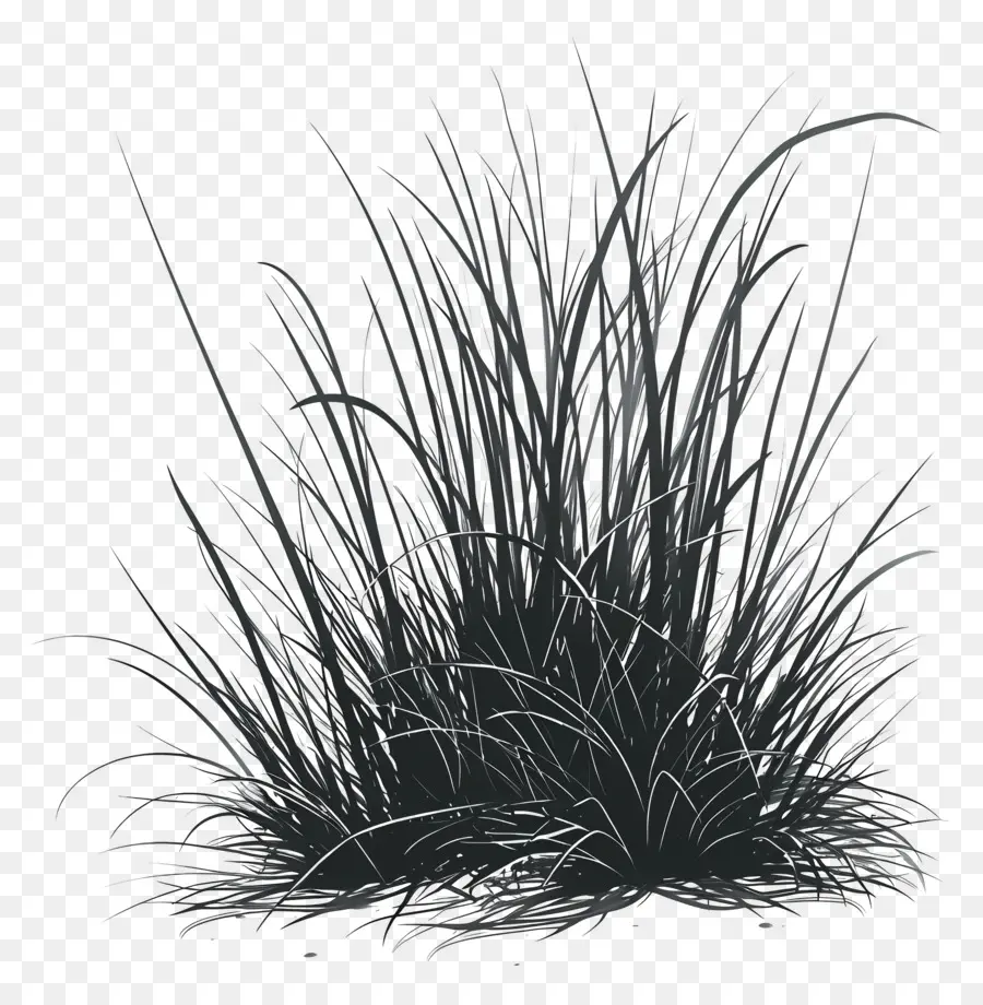 трава，высокая трава PNG