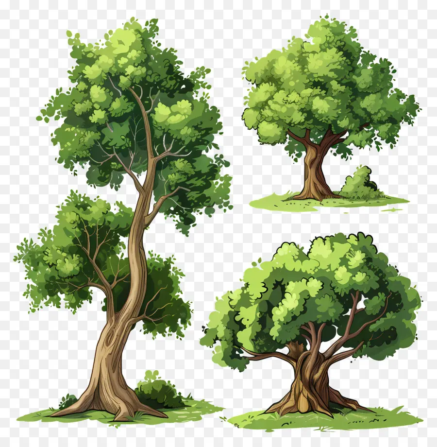 деревья，природа PNG