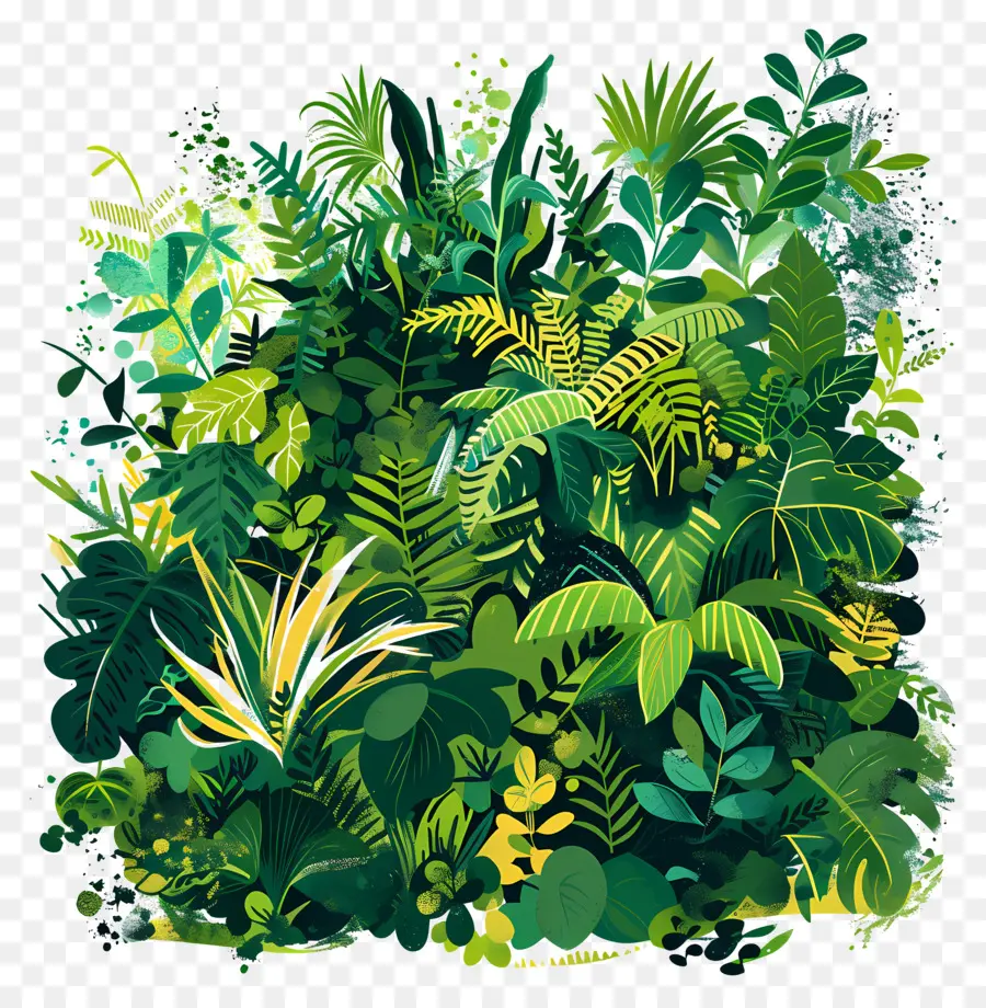 пышная зелень，джунгли PNG