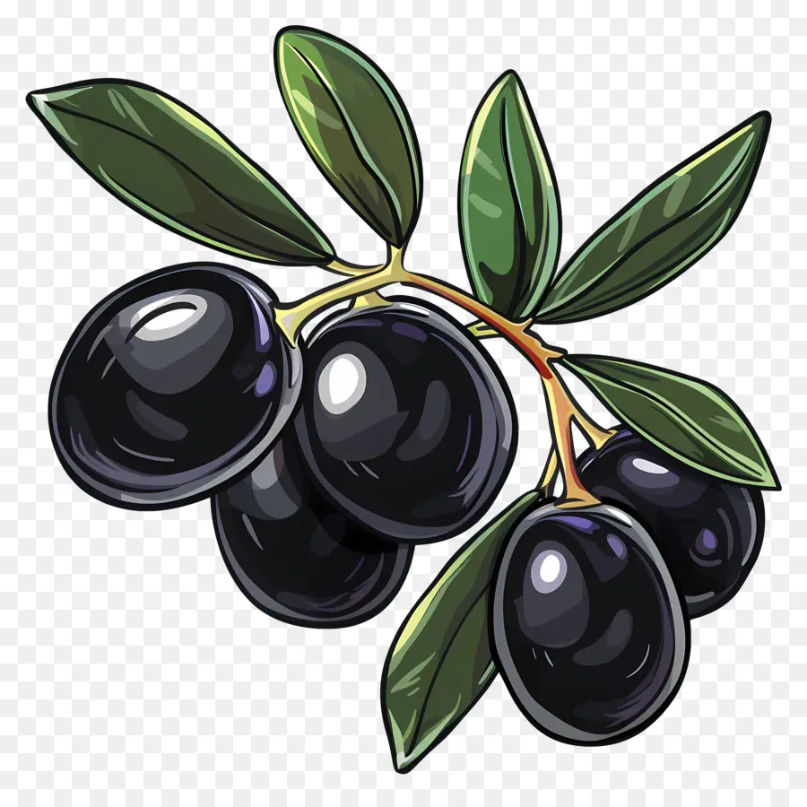 черные оливки，черный оливковый PNG