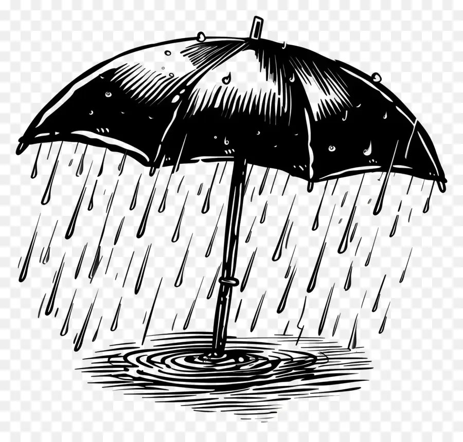 Дождь，Зонтик PNG