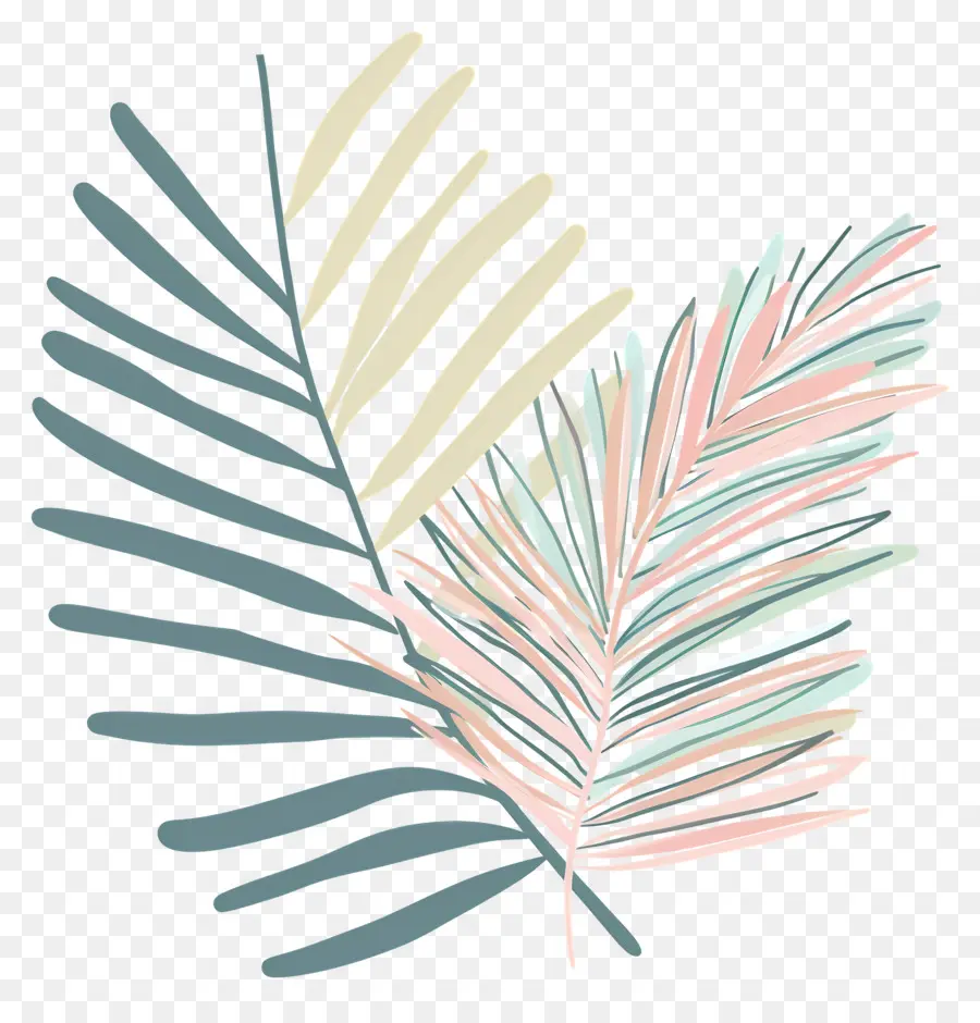 пальмовый лист，пальмовые листья PNG