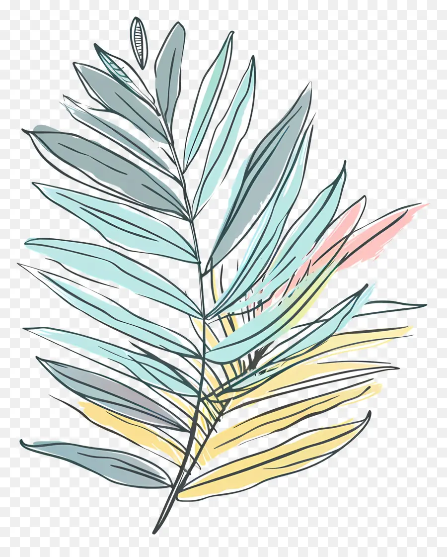 пальмовый лист，Листовое растение PNG
