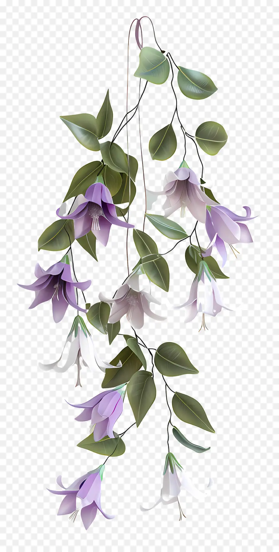 Цветочный висящий растение，фиолетовый цветок PNG