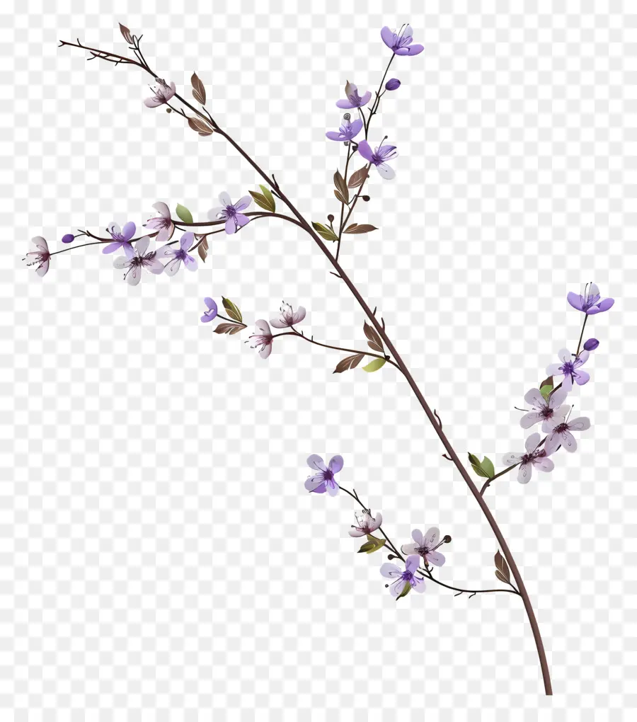Маленькие фиолетовые цветы，фиолетовый цветок PNG