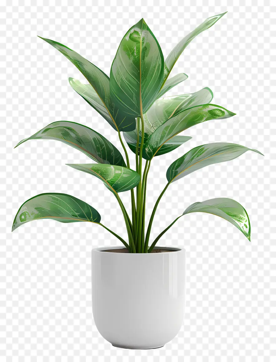 Небольшое внутреннее растение，белая ваза PNG