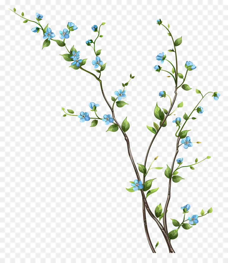 Маленькие синие цветы，Дерево PNG
