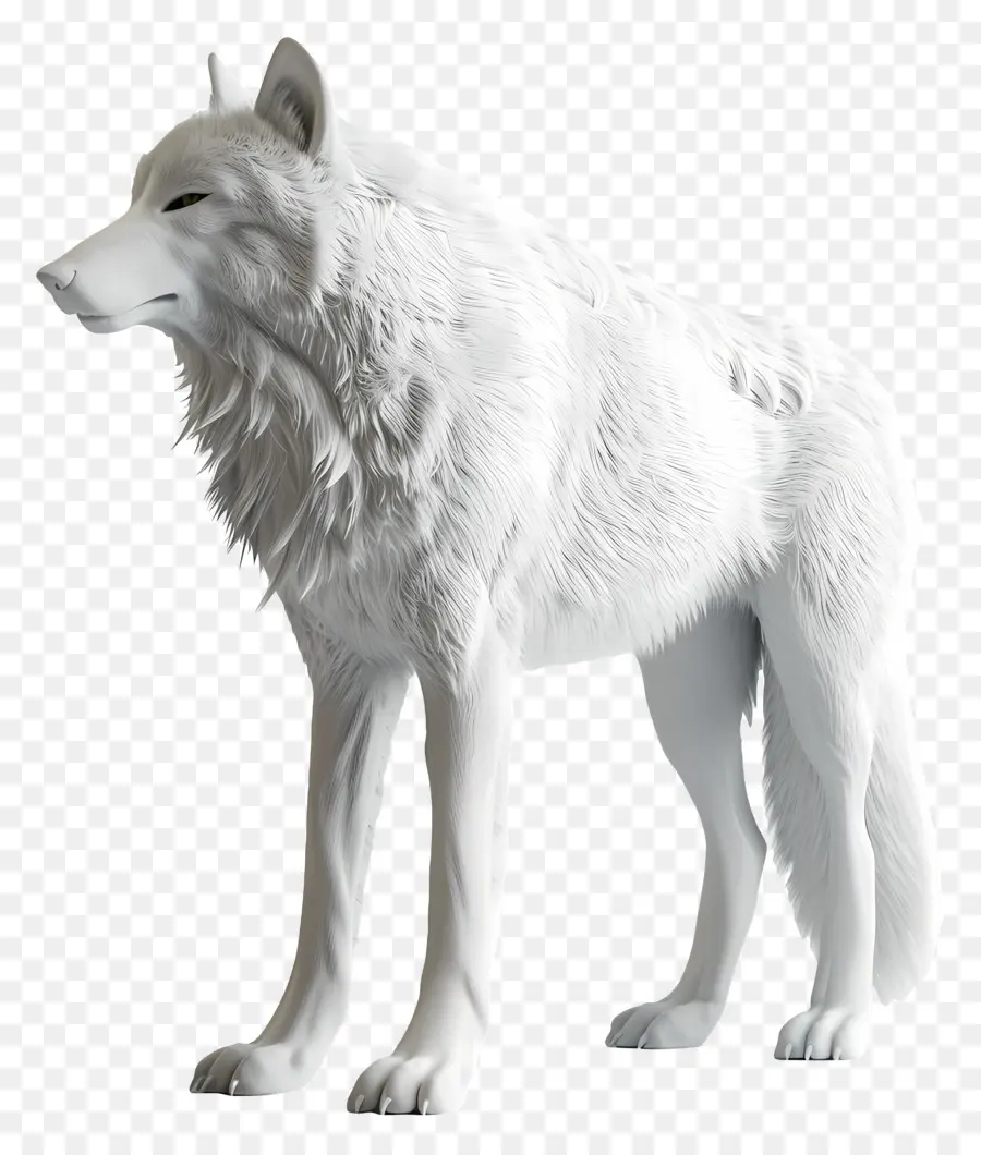 белый волк，3d визуализация PNG