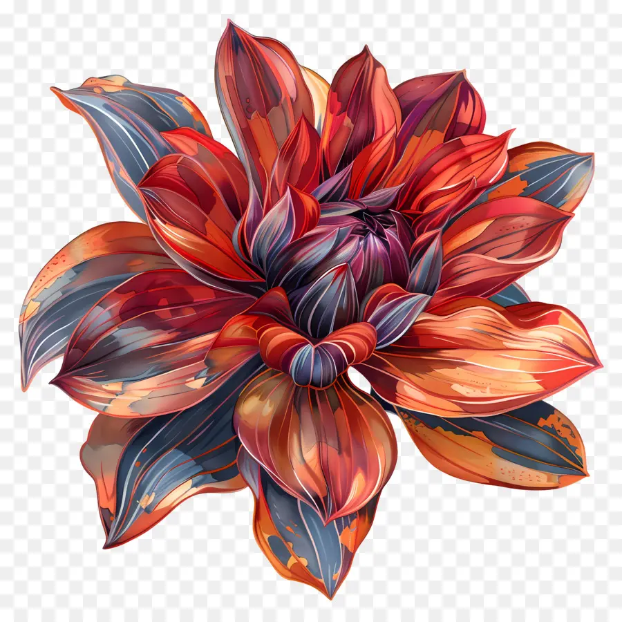 Цветок желудка，цветок PNG