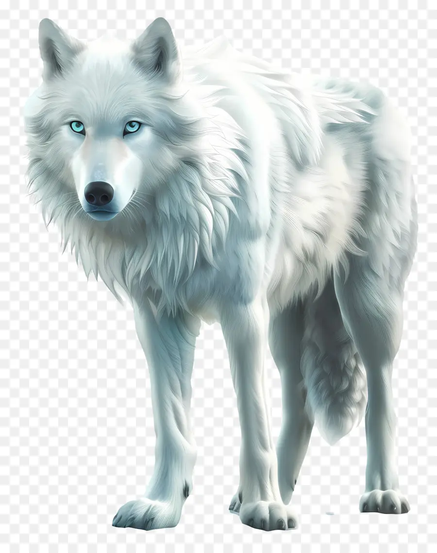 белый волк，длинные волосы PNG