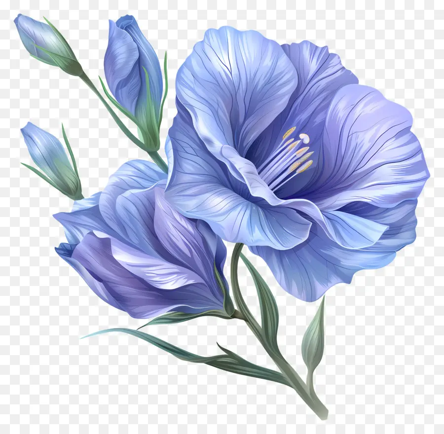 Синий Лизиант，Голубой цветок PNG
