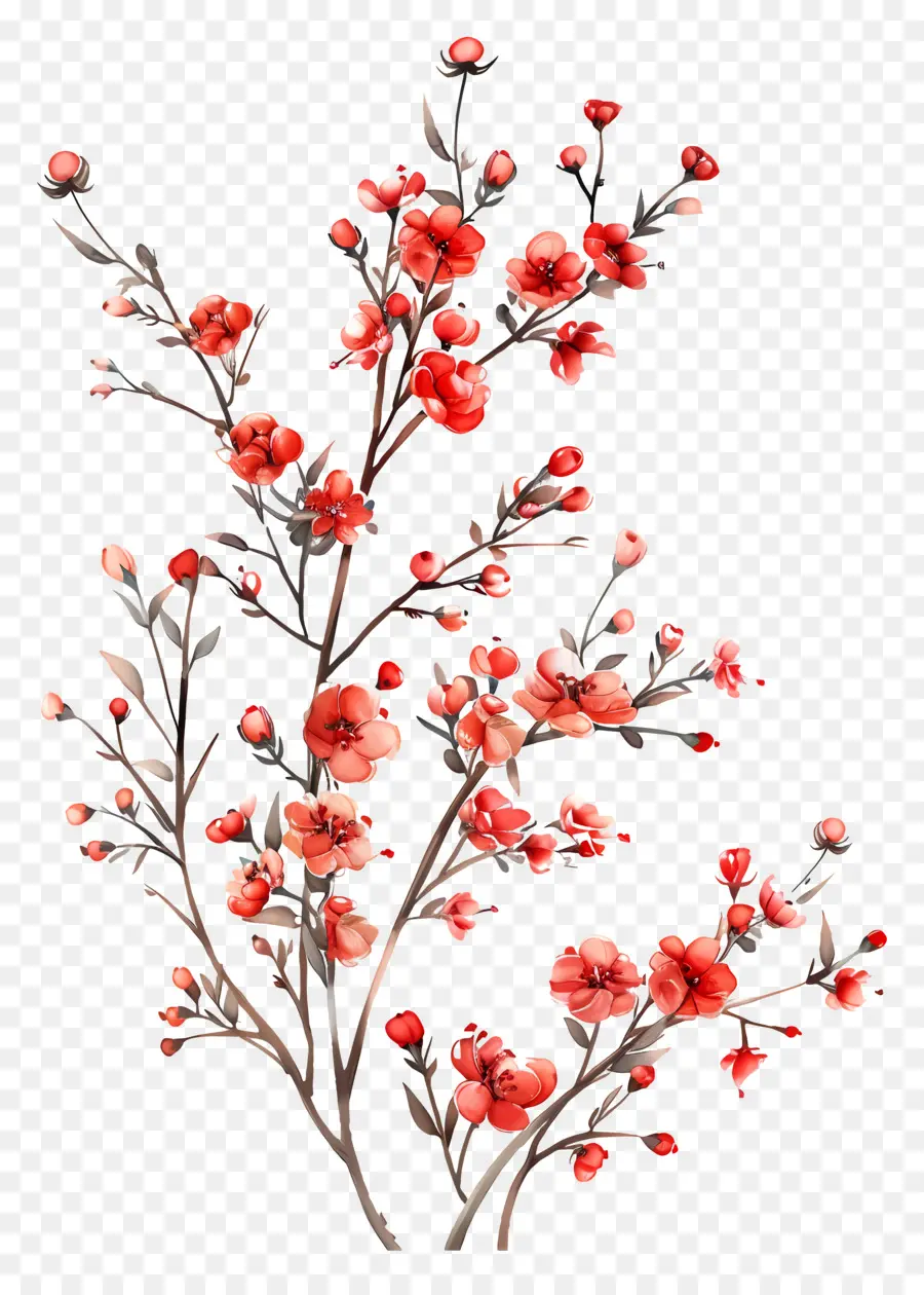 маленькие красные цветы，акварельная живопись PNG
