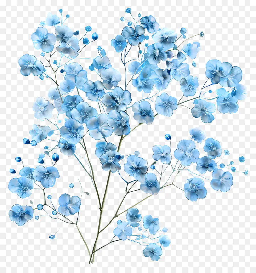 Ряды дыхают цветок，Маленькие синие цветы PNG