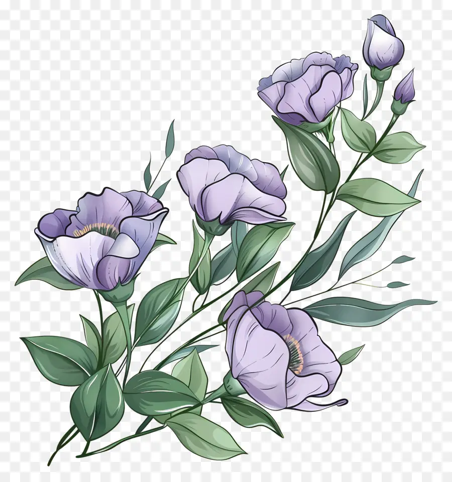 Юстома Цветы，фиолетовые цветы PNG