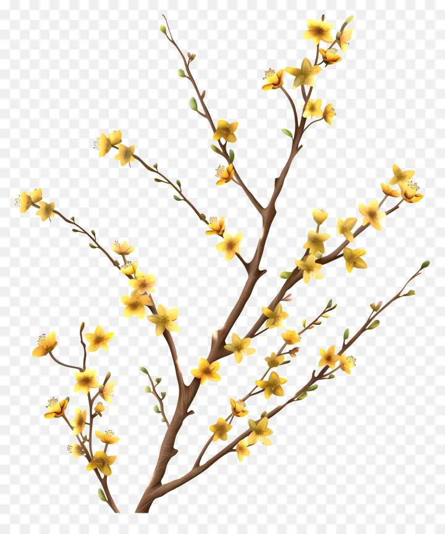 Маленькие желтые цветы，желтые цветы PNG
