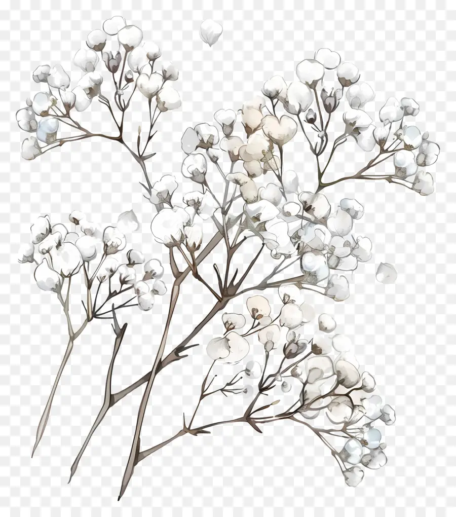 Ряд дыхает цветок，белые цветы PNG