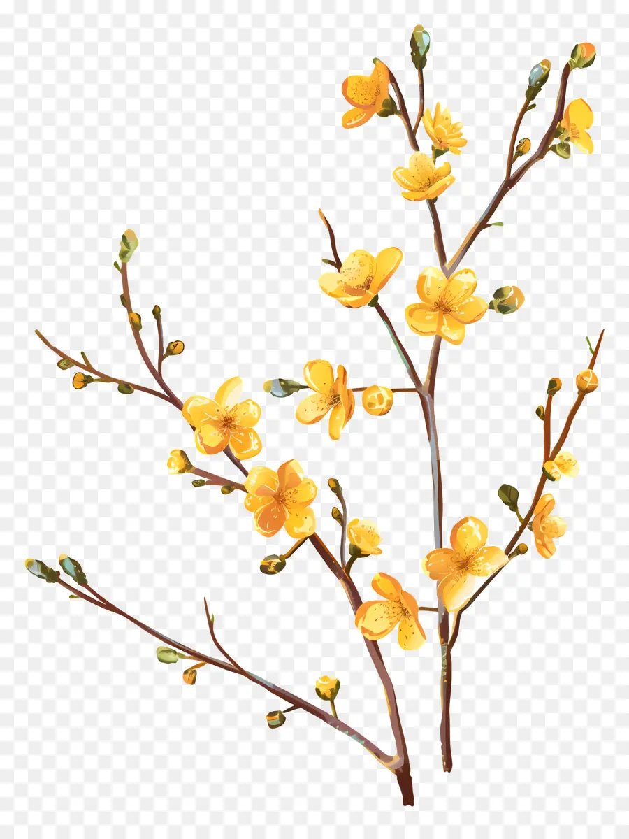 Маленькие желтые цветы，желтые цветы PNG