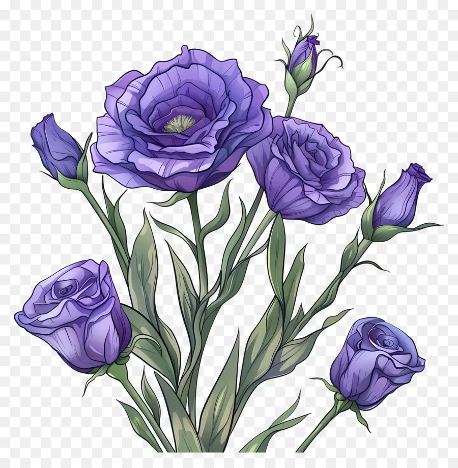 Юстома Цветы，фиолетовые розы PNG