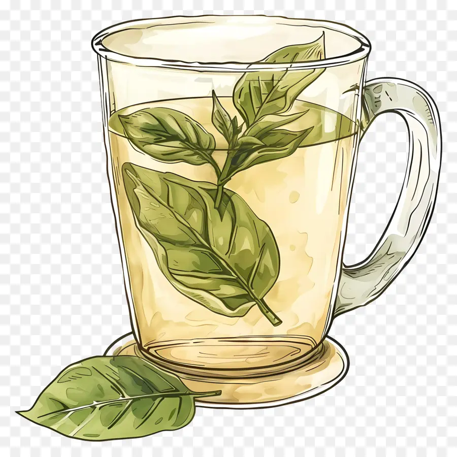 чай，Mint Tea PNG