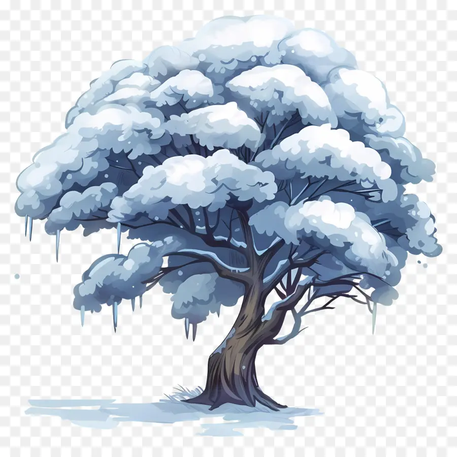 снег дерево，заснеженного дерева PNG