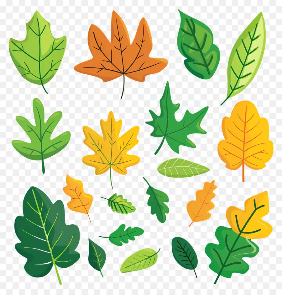 простой клипарт листьев，Осенние Листья PNG