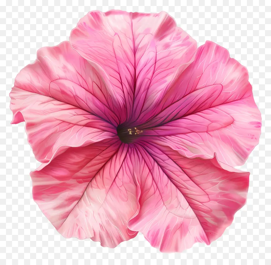 Цветок Петунии，розовый цветок PNG