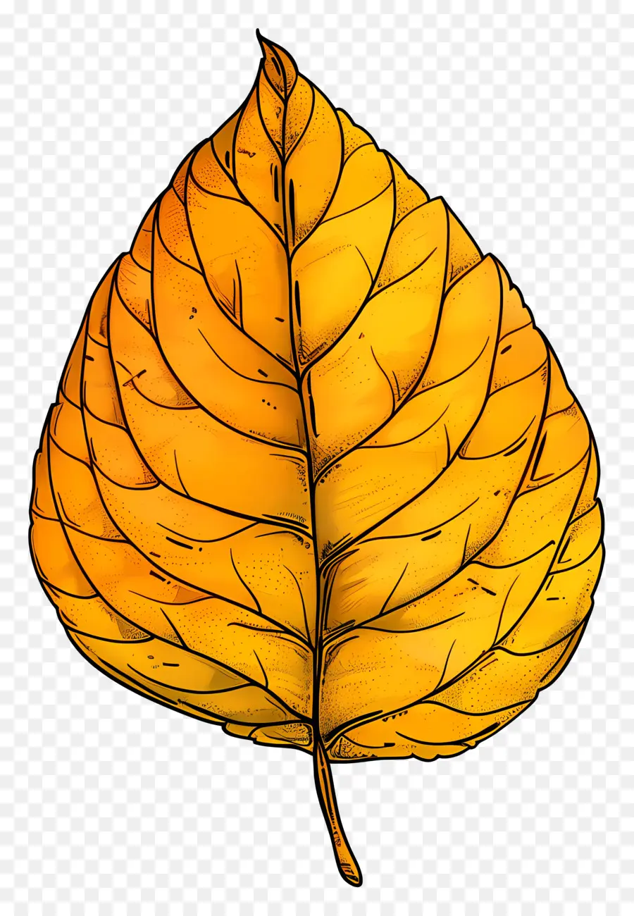 Желтый клипарт листьев，желтый лист PNG