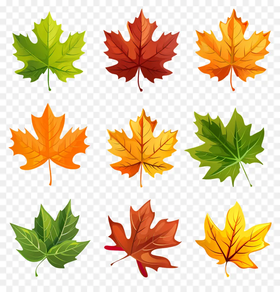 простой клипарт листьев，Осенние Листья PNG
