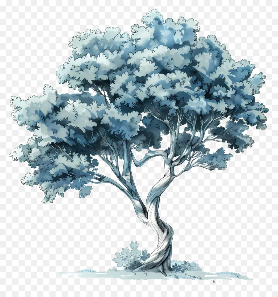 Дерево，синий и белый PNG