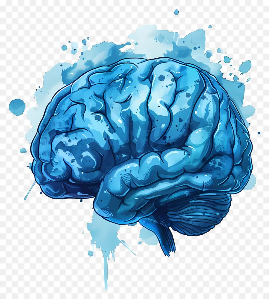 голубой мозг，Человеческий мозг PNG