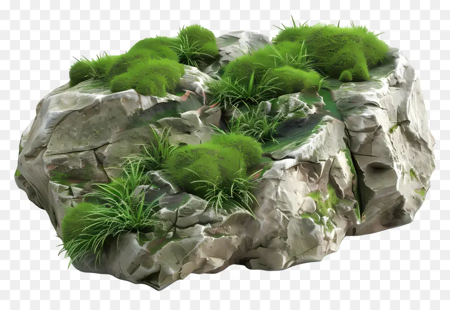 зеленый мох，горная порода PNG