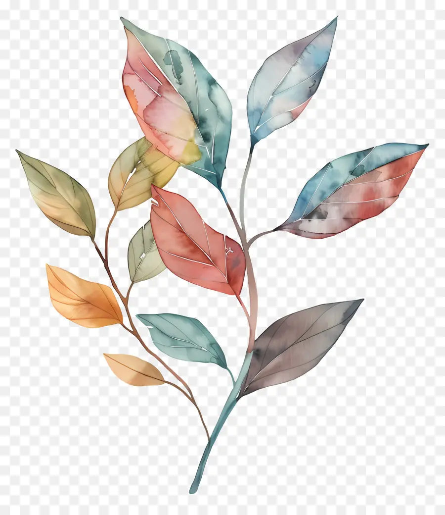 акварельные листья，акварельная живопись PNG