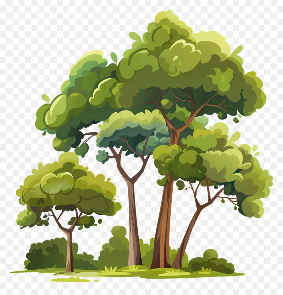 лесные деревья，деревья PNG