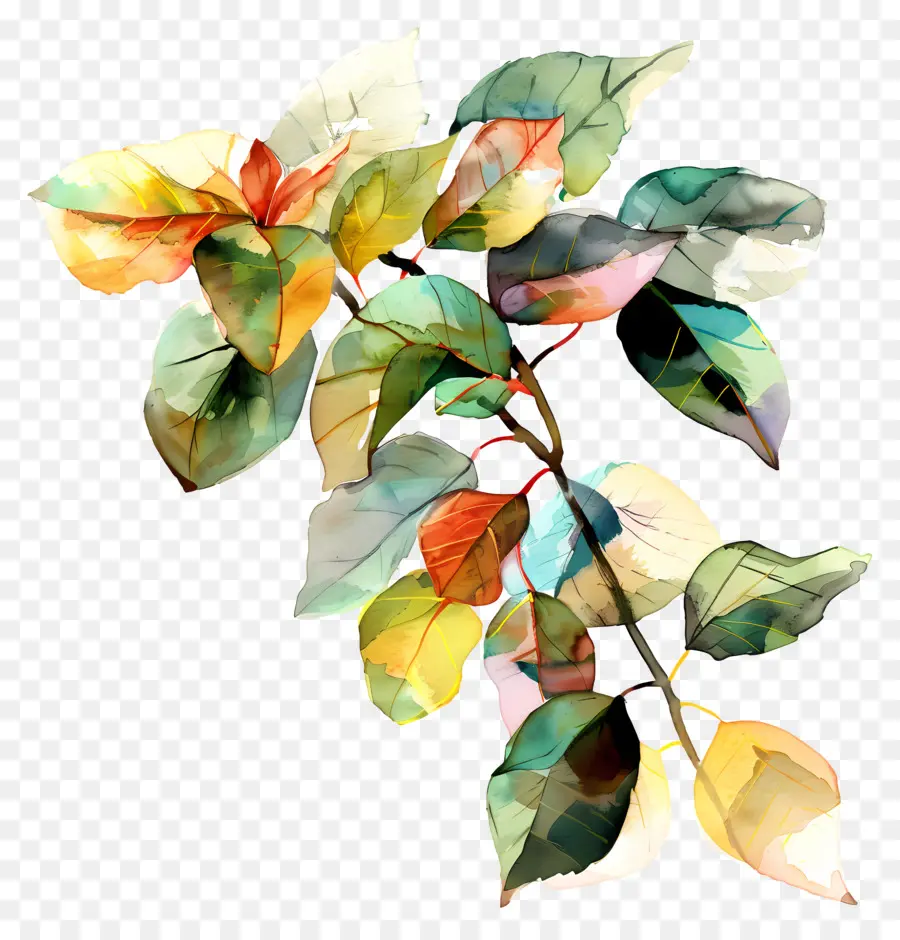 акварельные листья，зеленые листья PNG