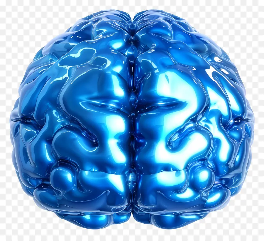 голубой мозг，Пластиковый мозг PNG