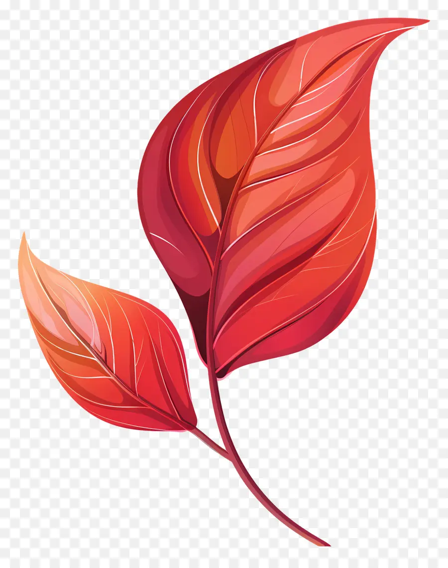 Красный лист клипарт，оранжевый лист PNG