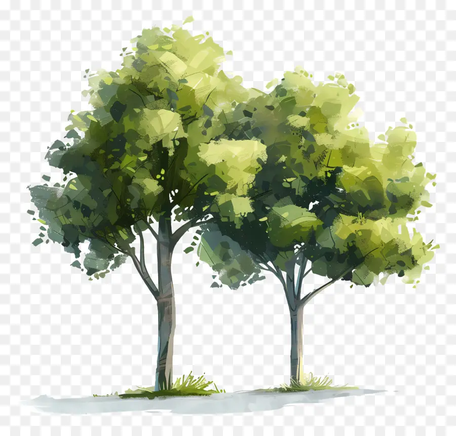 акварельные деревья，деревья PNG