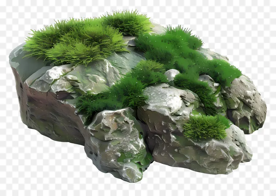 зеленый мох，рок образования PNG