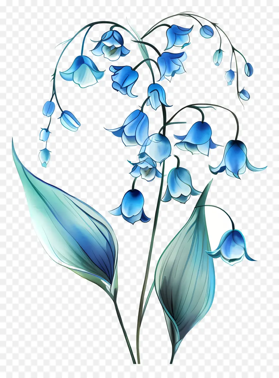 Голубая лилия из долины，букет цветов PNG