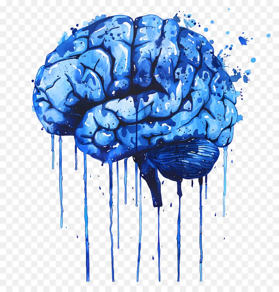 голубой мозг，Человеческий мозг PNG