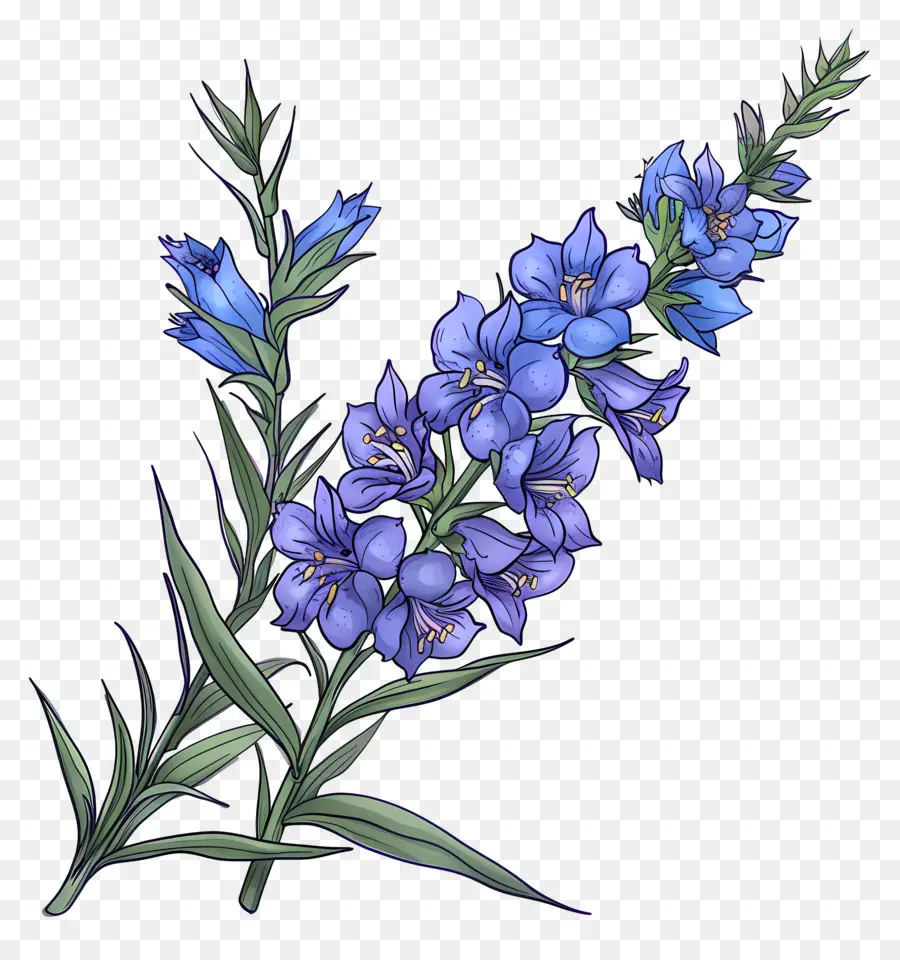 Larkspur Flower，Голубой цветок PNG