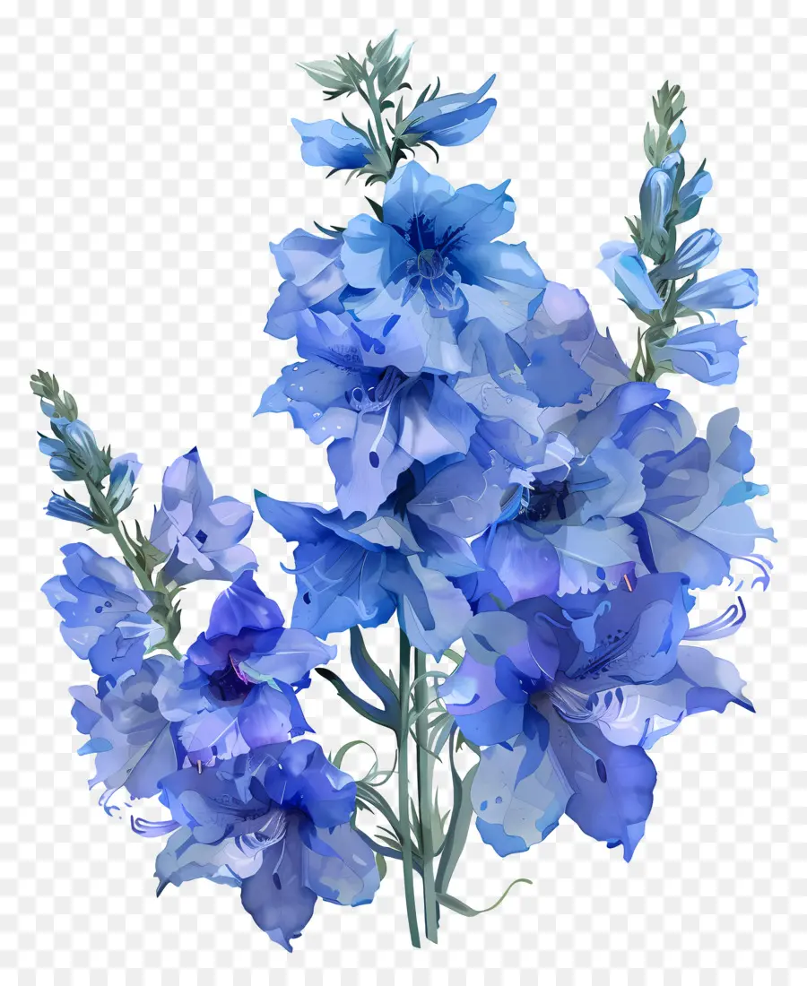 Larkspur Flower，синий Гортензия PNG
