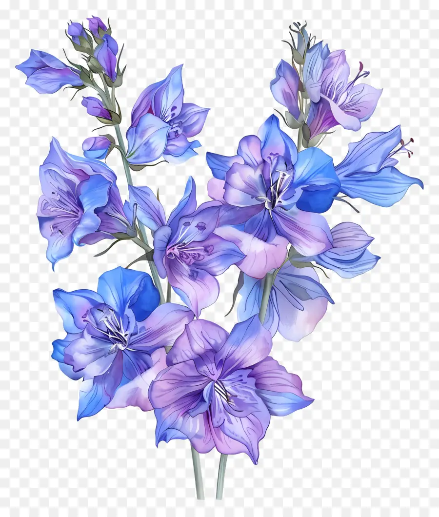 Larkspur Flower，фиолетовые цветы PNG