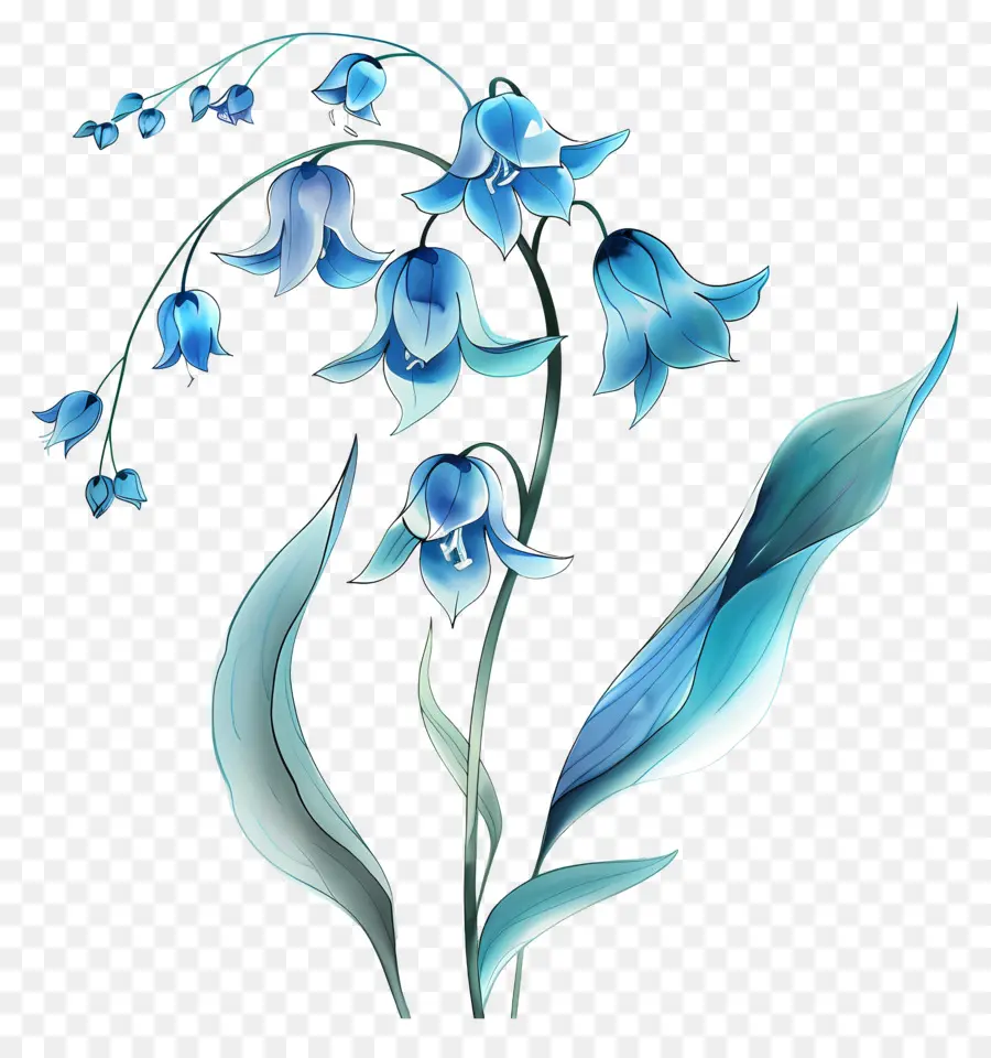 Голубая лилия из долины，Голубые лилии PNG